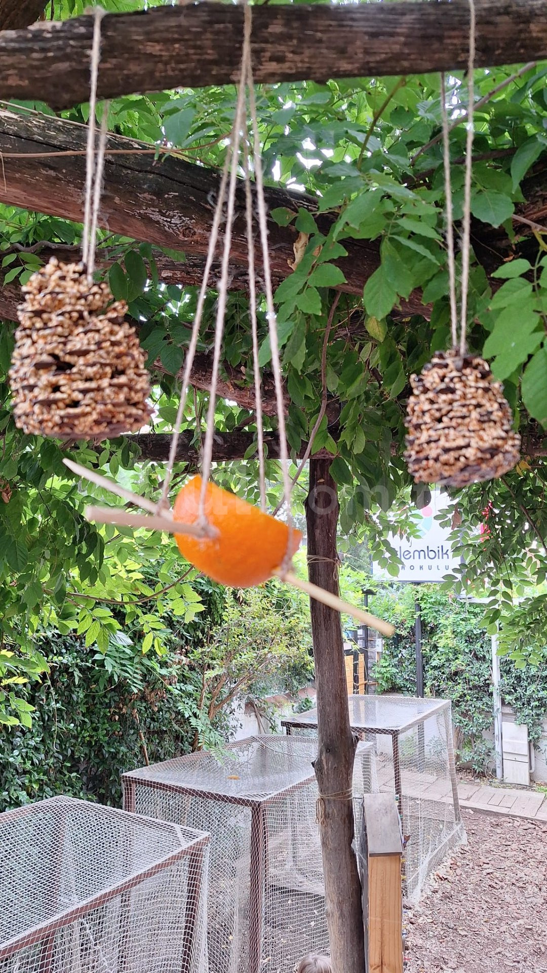 Özel Çitlembik Montessori Anaokulu - 15