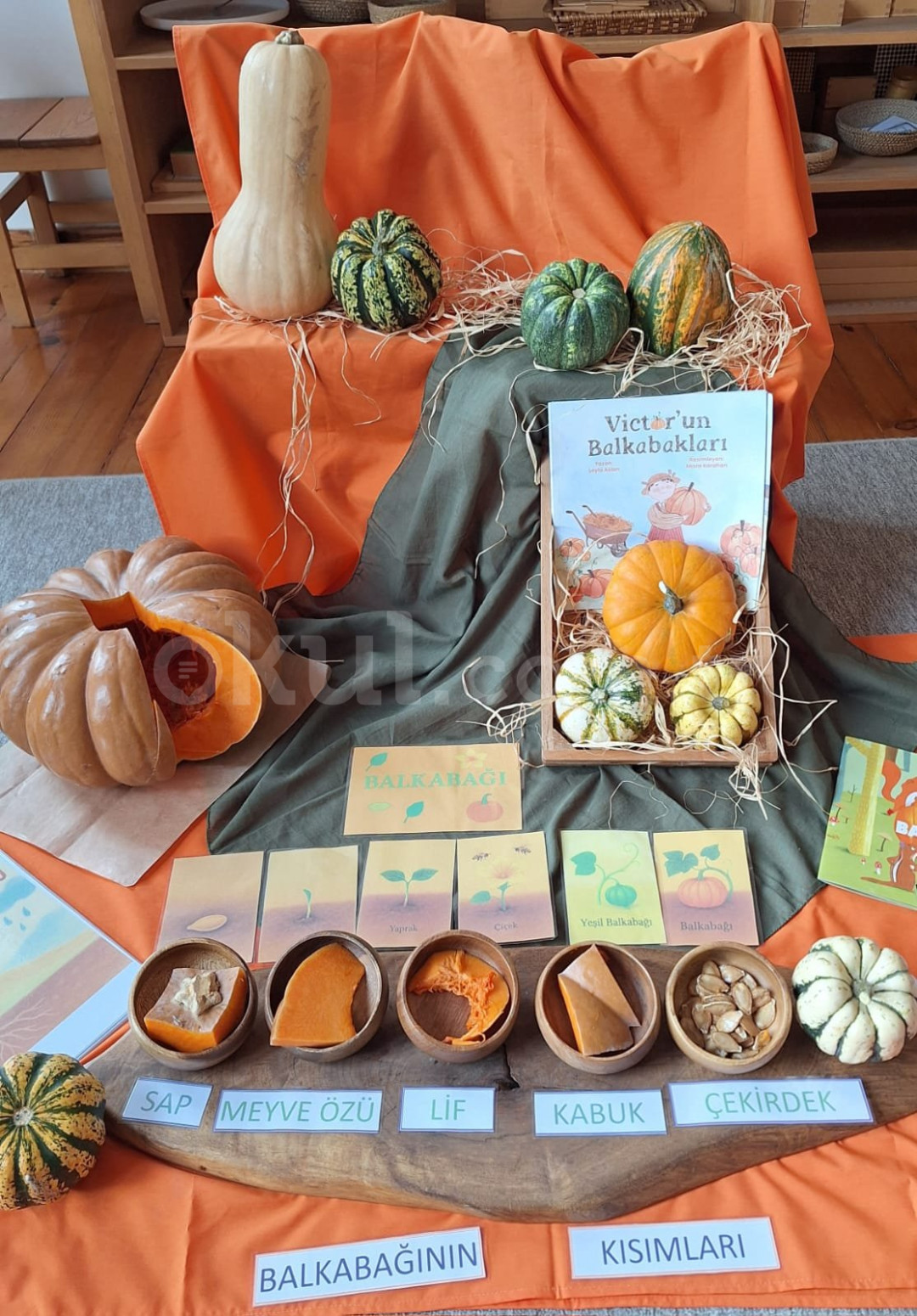 Özel Çitlembik Montessori Anaokulu - 13