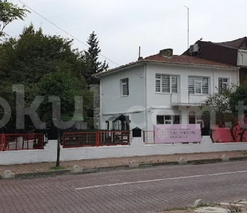Genel Bakış