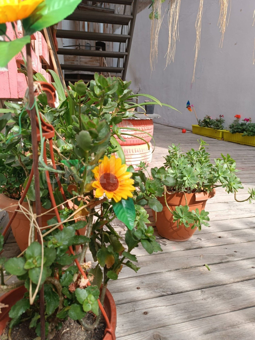 Özel Hayal Gemisi Anaokulu - 3