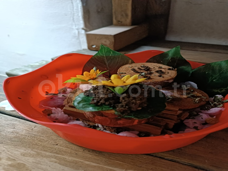 Özel Hayal Gemisi Anaokulu - 29