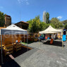 Özel Pinokyo Çocuk Evi