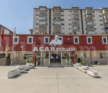 Genel Bakış