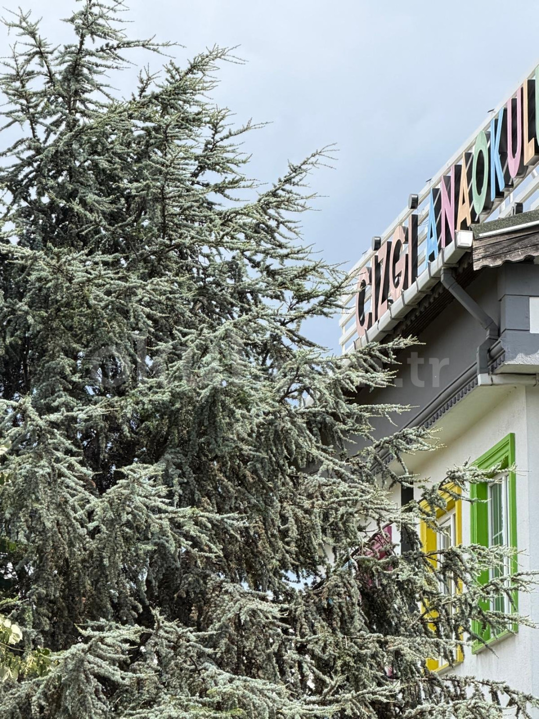 Özel Silivri Çizgi Koleji Anaokulu - 3