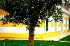 Özel Acıbadem Okulları Gül Ağacı Anaokulu - 13