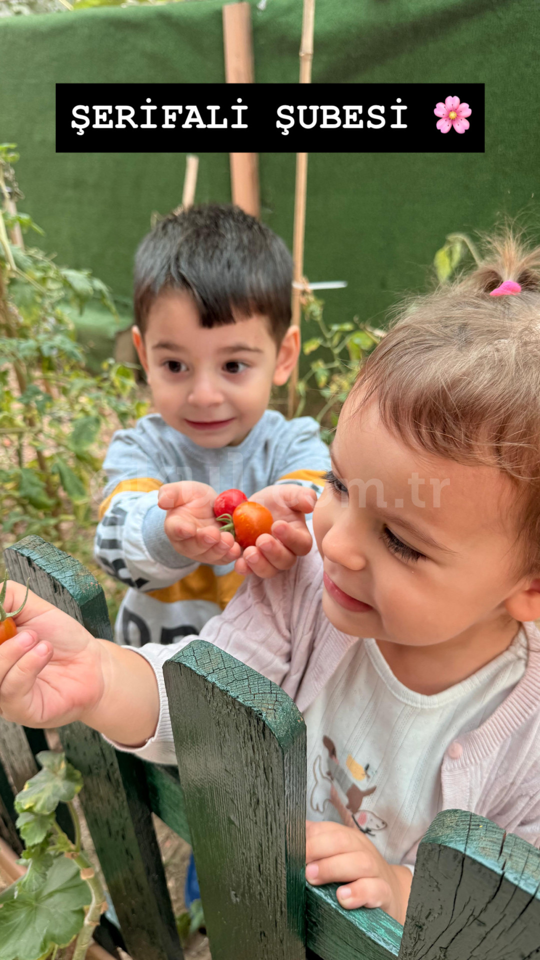 Özel Ümraniye İnci Yıldız Anaokulu - 6