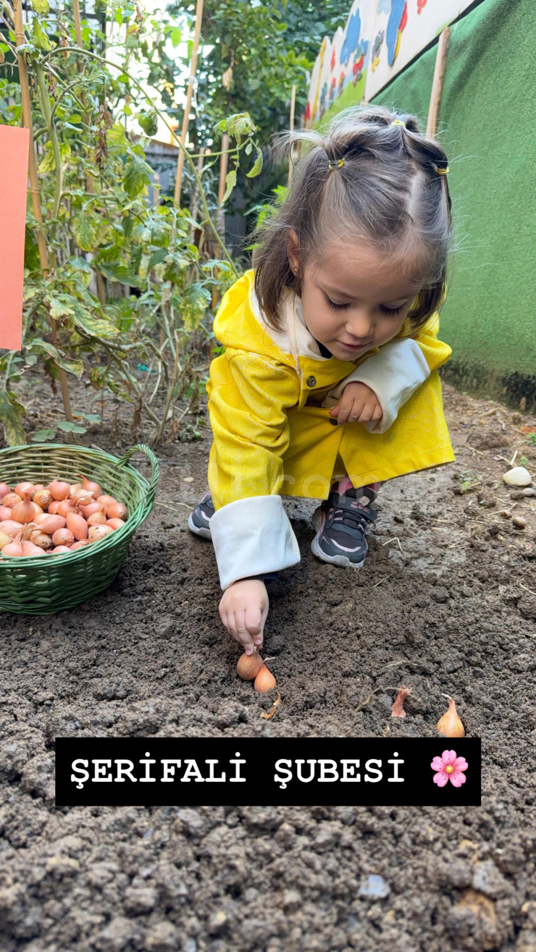 Özel Ümraniye İnci Yıldız Anaokulu - 7