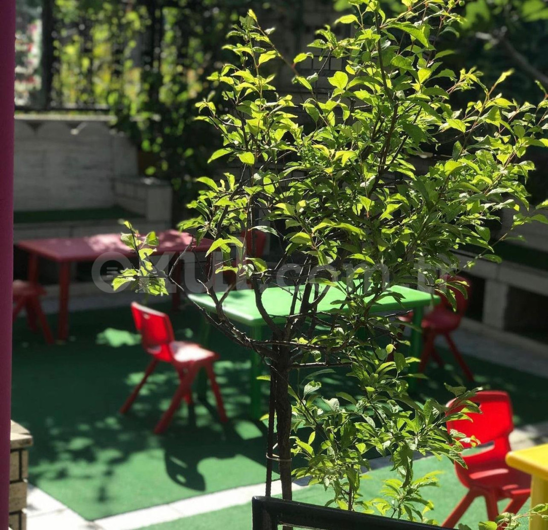 Özel Sare Anaokulu - 11