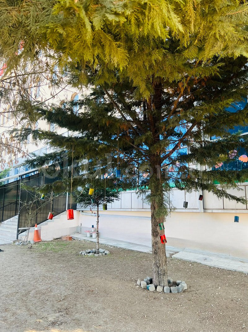 Özel Çılgın Çınar Anaokulu - 5