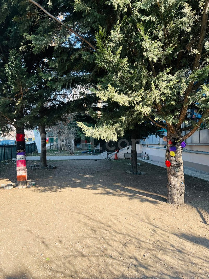 Özel Çılgın Çınar Anaokulu - 6