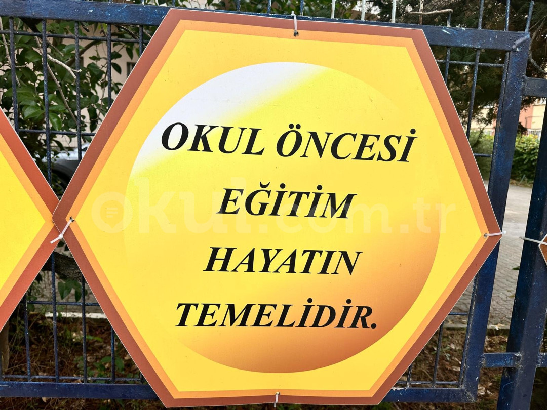 Özel Bal Çiçeğim Anaokulu - 6