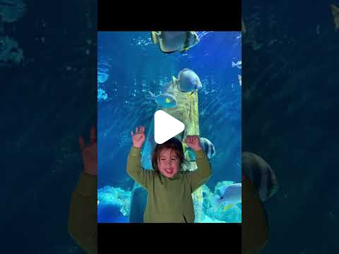 Özel Bal Çiçeğim Anaokulu - 26