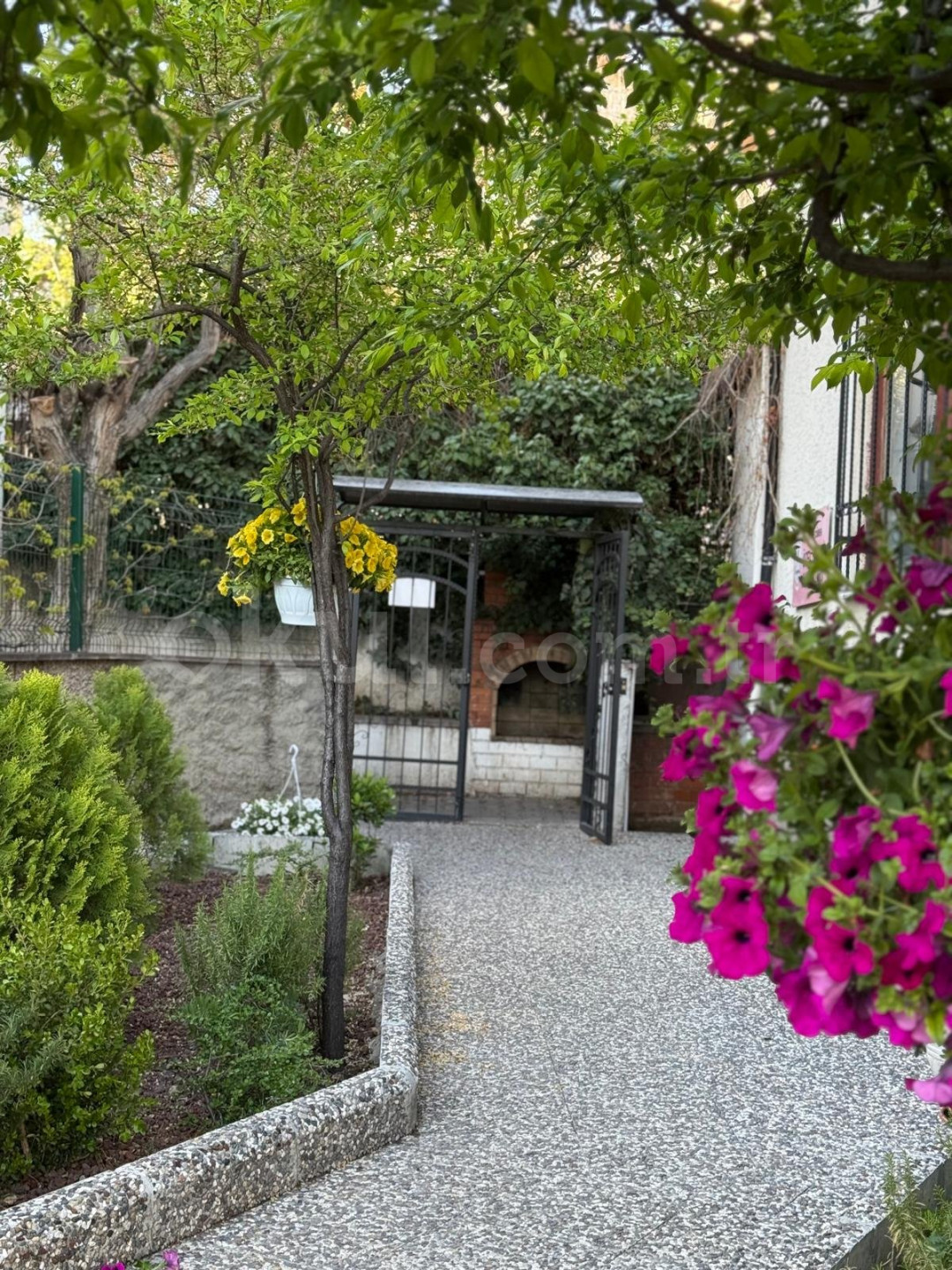 Özel Sezgi Montessori Anaokulu - 3