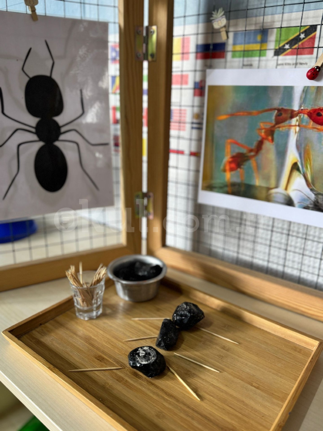 Özel Sezgi Montessori Anaokulu - 8