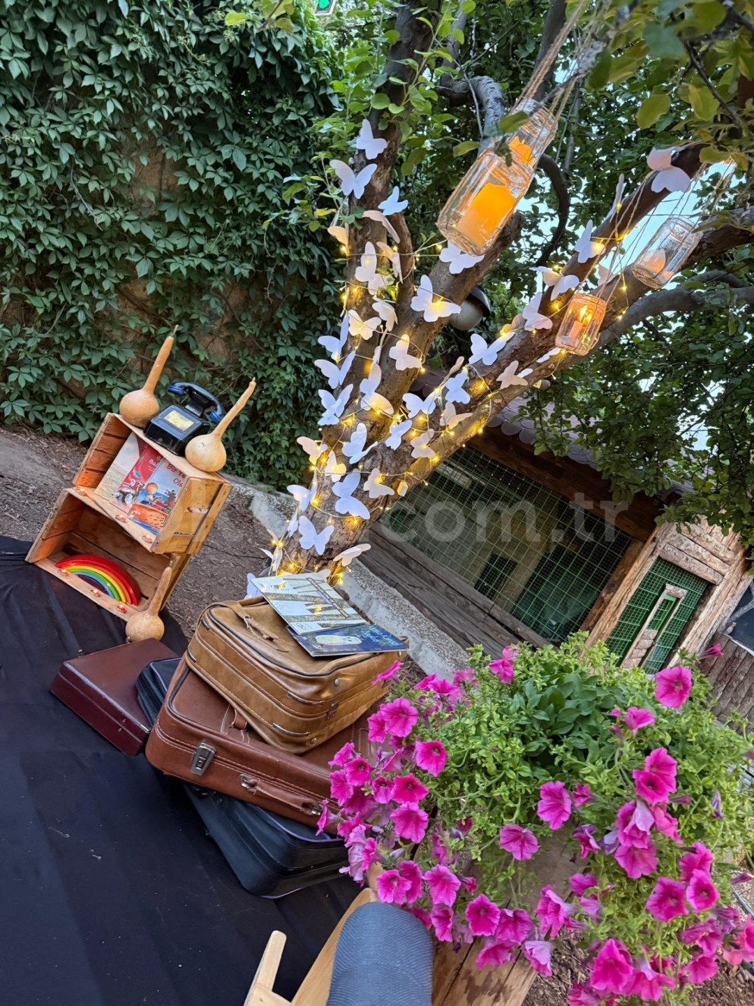 Özel Sezgi Montessori Anaokulu - 2