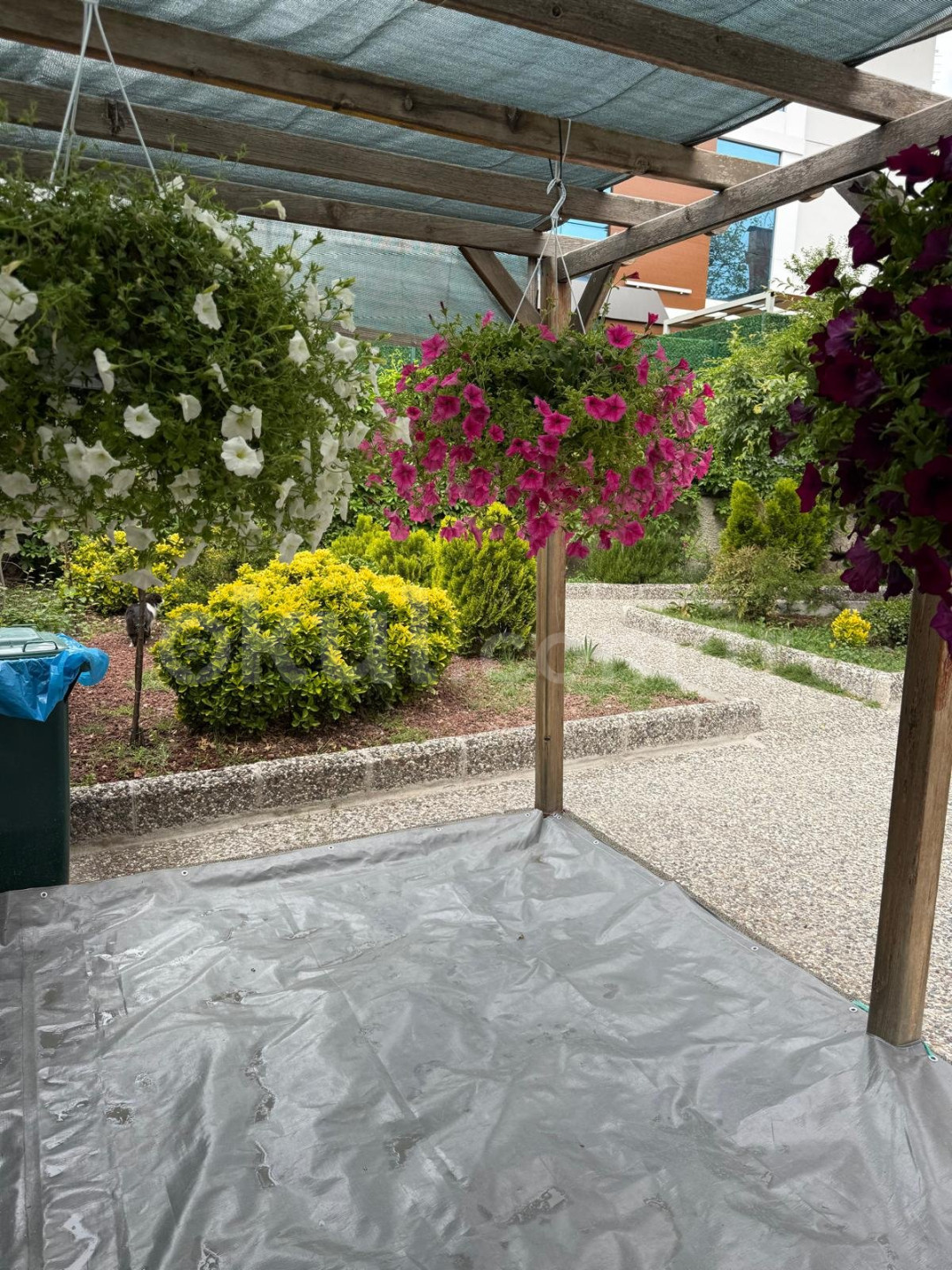 Özel Sezgi Montessori Anaokulu - 6