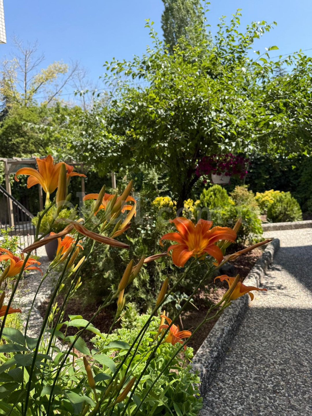 Özel Sezgi Montessori Anaokulu - 5