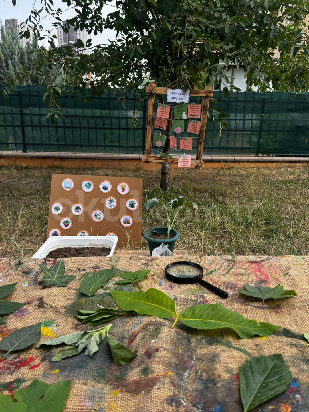 Özel Yaşamkent Kids Aloud İngiliz Kültür Anaokulu - 10