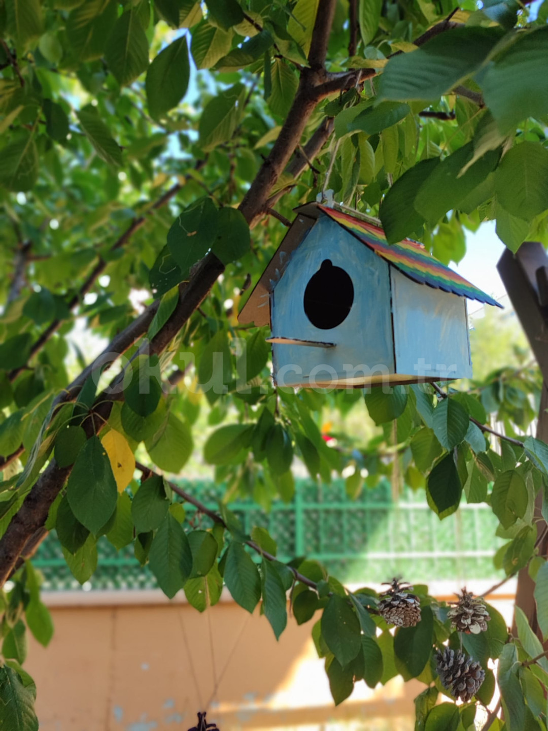 Özel Yaşamkent Kids Aloud İngiliz Kültür Anaokulu - 9