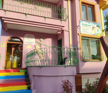 Genel Bakış