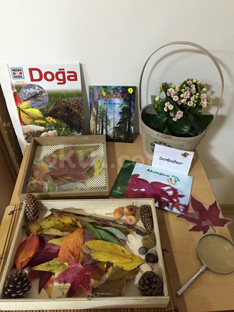 Özel Gardenya Montessori Anaokulu - 22