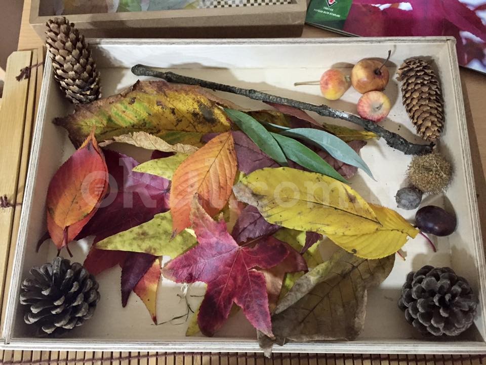 Özel Gardenya Montessori Anaokulu - 25