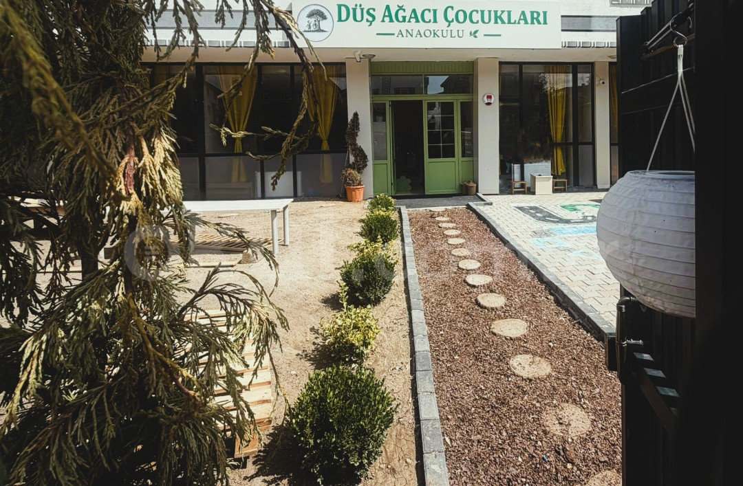 Özel Düş Ağacı Çocukları Anaokulu - 3