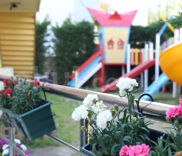 Özel Natural Kids Academy Anaokulu