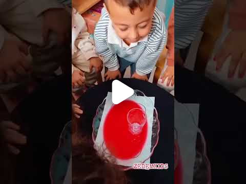 Özel ZEDEM Zeka Değirmeni Kreş ve Anaokulu - 63