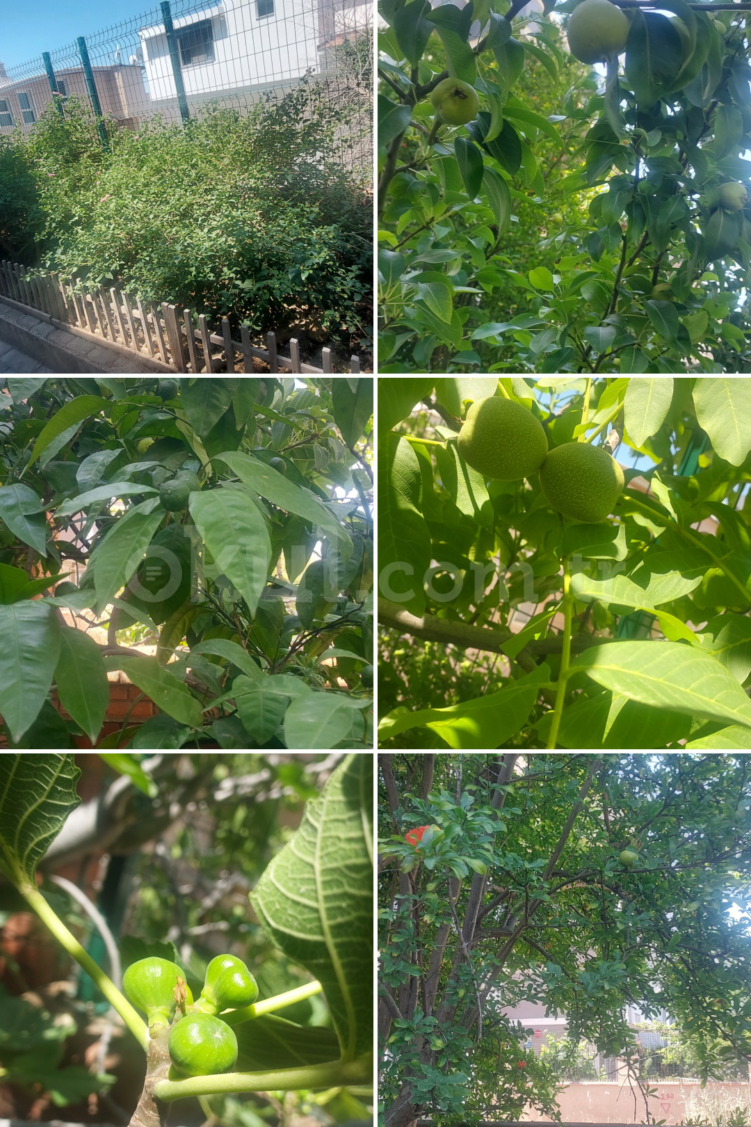 Özel Turuncu Balık Kreş ve Gündüz Bakımevi - 29