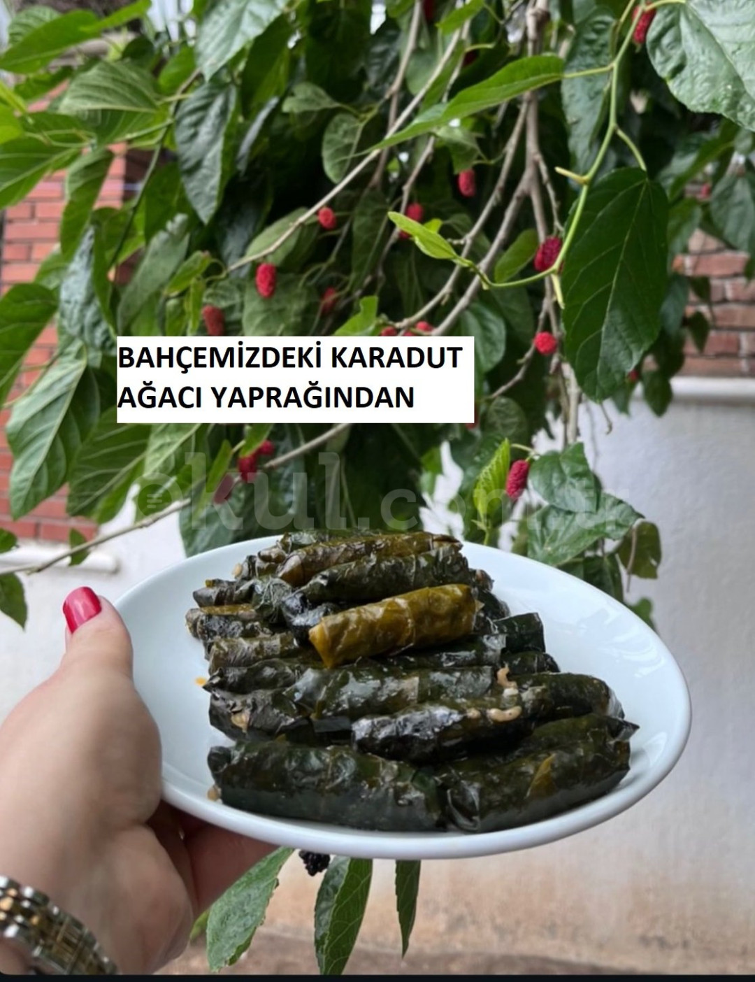 Özel Turuncu Balık Kreş ve Gündüz Bakımevi - 1