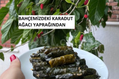 Özel Turuncu Balık Kreş ve Gündüz Bakımevi