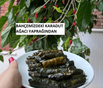 Özel Turuncu Balık Kreş ve Gündüz Bakımevi