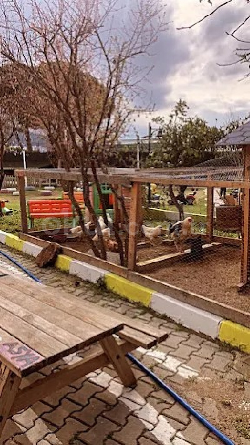 Özel Doğal Neşeli Fil Anaokulu - 15
