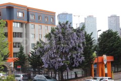 Özel Üsküdar Biltek Okulları Anadolu Lisesi - 23