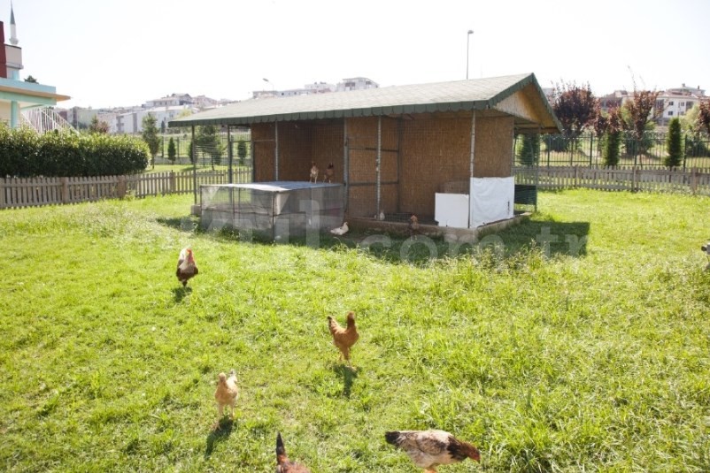 Özel Batı Yıldızı Atakent Anaokulu - 13