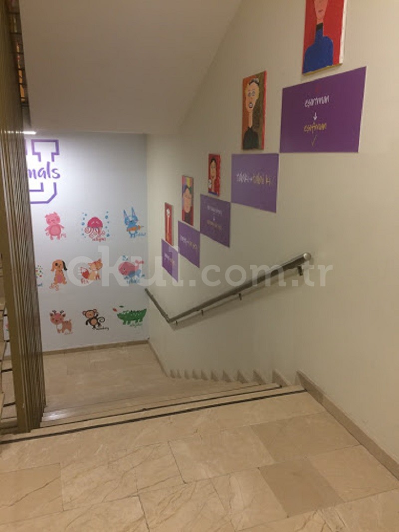 Özel Tuzla Uğur Okulları Anadolu Lisesi - 15