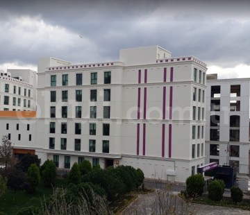 Genel Bakış