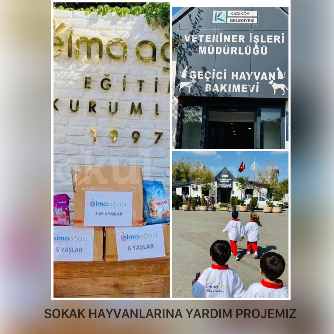 Özel Küçükyalı Elma Ağacı Anaokulu - 17