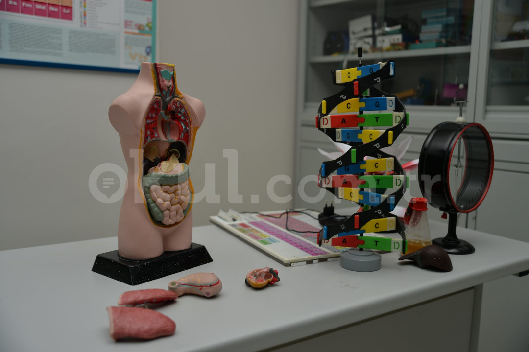 Özel Bahçeşehir Artı Anadolu Lisesi - 10