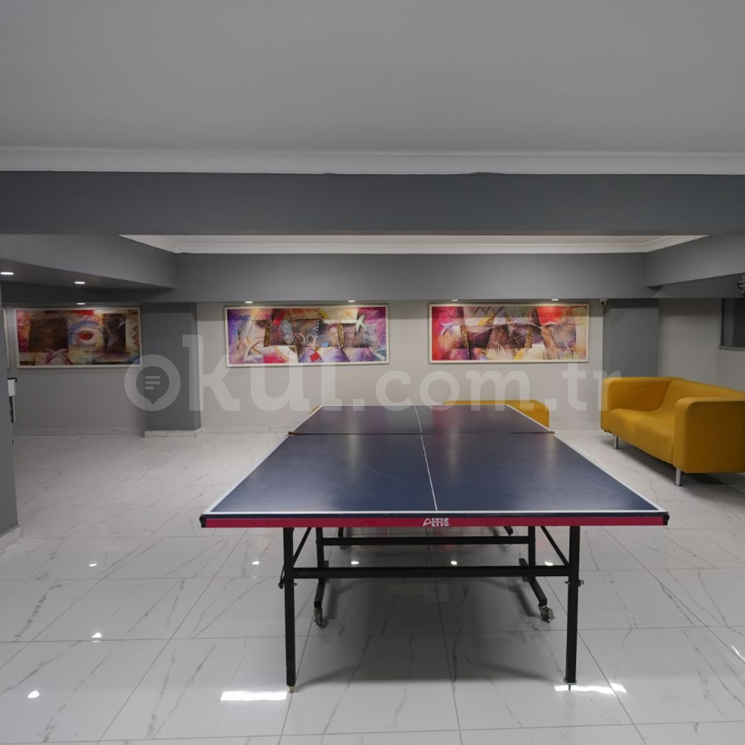 Özel Bahçeşehir Artı Anadolu Lisesi - 31