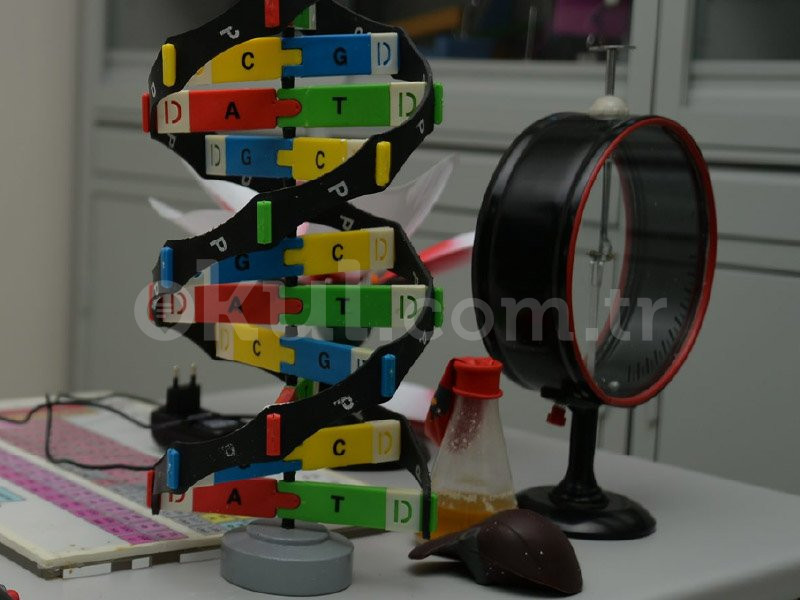 Özel Bahçeşehir Artı Anadolu Lisesi - 13
