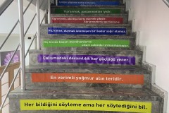 Özel Eyüpsultan Final Akademi Anadolu Lisesi - 10
