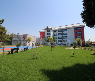 Genel Bakış