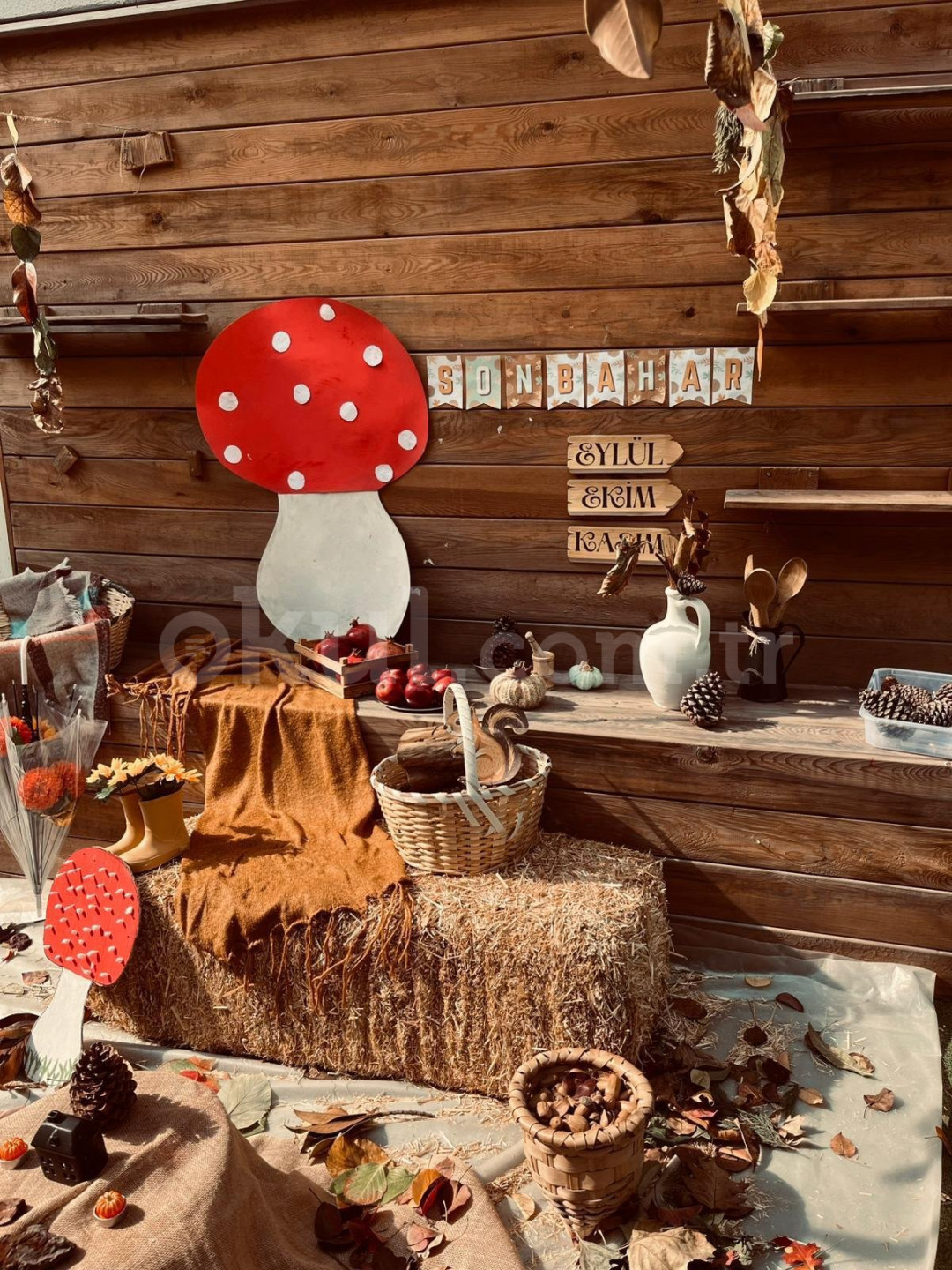 Özel Aydos Lale Bahçesi Anaokulu - 24