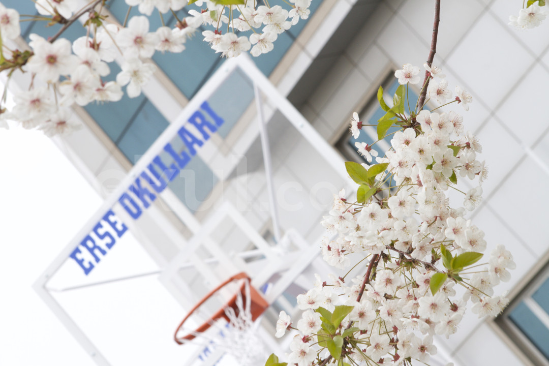 Özel Ümraniye Erse Okulları Anaokulu - 11