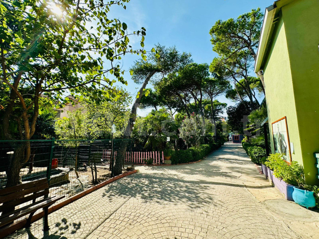 Özel Yakacık Balkanlar Koleji Anaokulu - 35