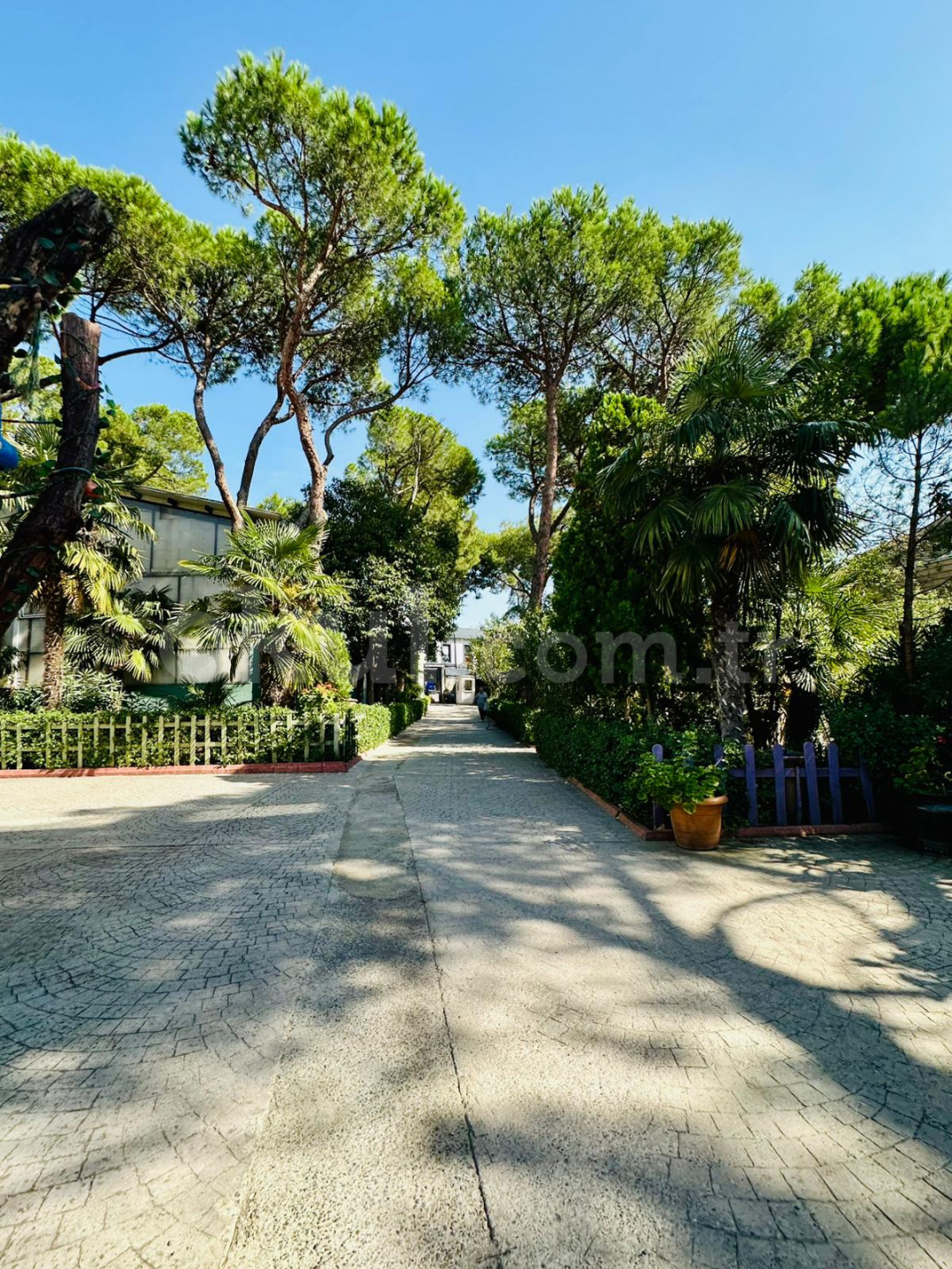 Özel Yakacık Balkanlar Koleji Anaokulu - 23