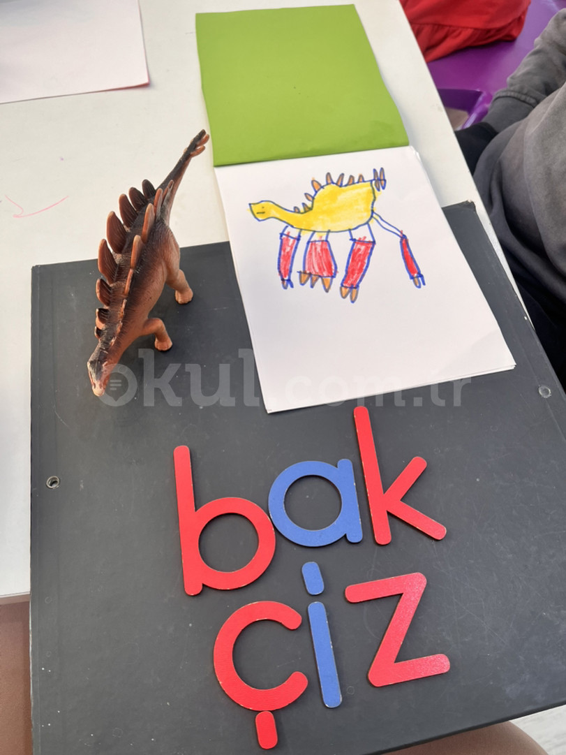 Özel Armağanevler Deniz Yıldızım Anaokulu - 24
