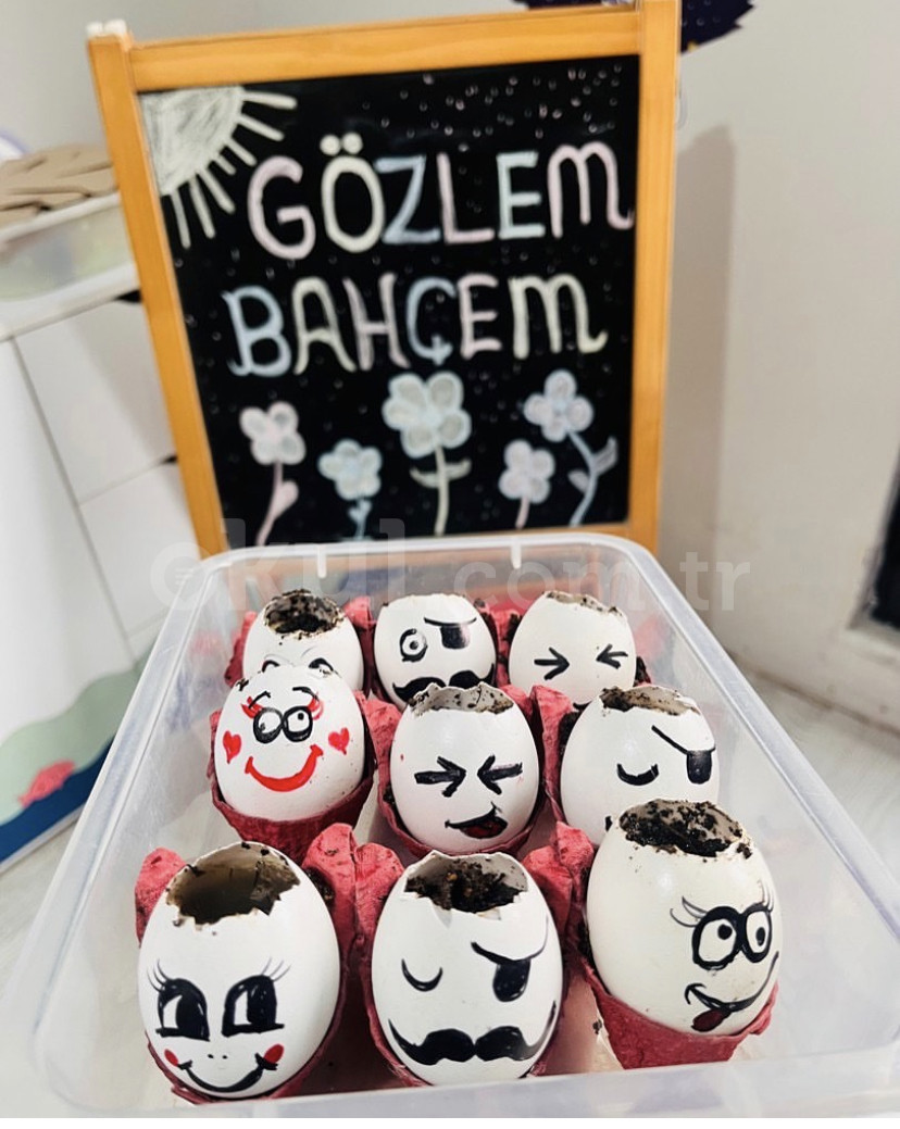 Özel Armağanevler Deniz Yıldızım Anaokulu - 8